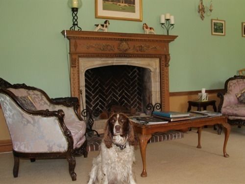 Отель Somerton Court Country House Экстерьер фото